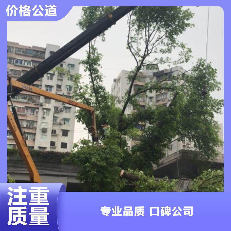 出租高空搬运设备视频-出租高空搬运设备_贵州省铜仁市市场覆盖万山|江口|黔东南|贵阳|遵义|黔西南|六盘水等