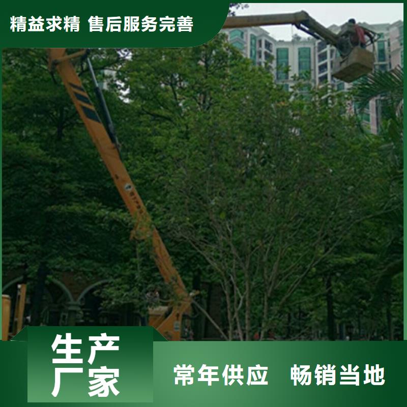 【 高空吊篮车租赁性能稳定】【中桥建】