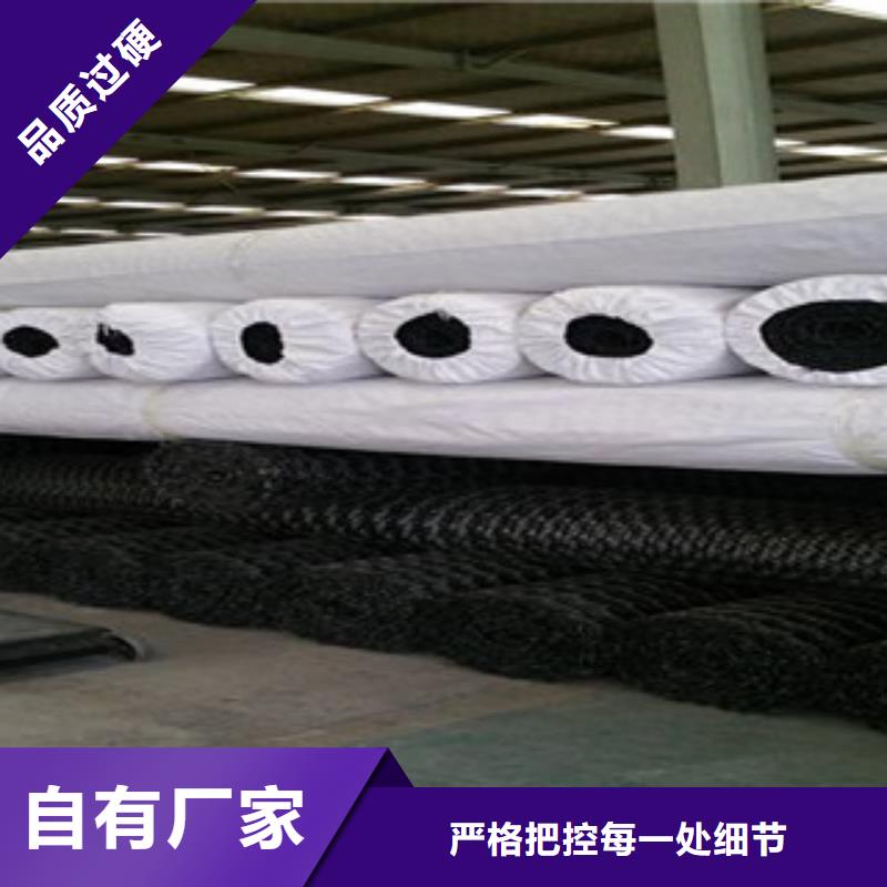 双向塑料格栅三维植被网厂家实力雄厚