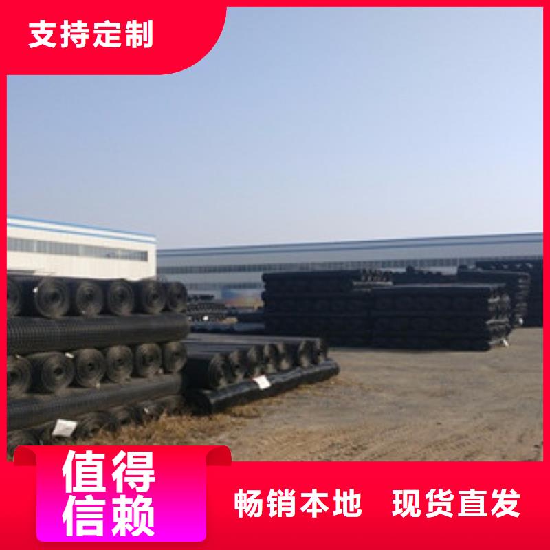 双向塑料格栅钢塑土工格栅当地货源