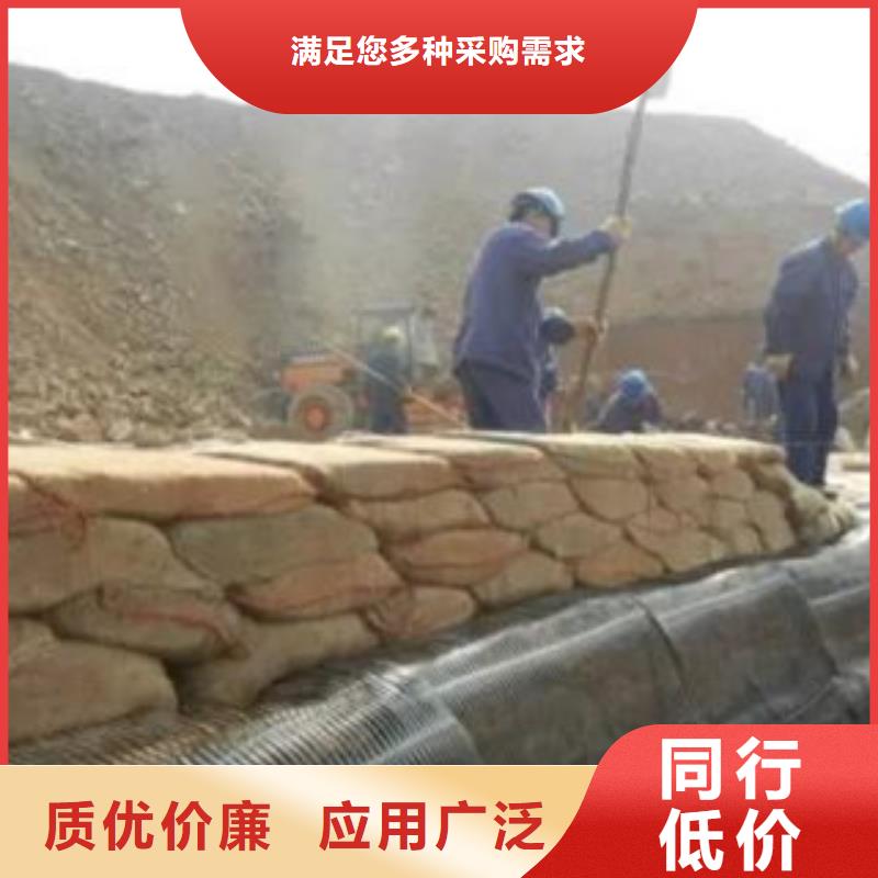 单向塑料格栅膨润土防水毯品质卓越