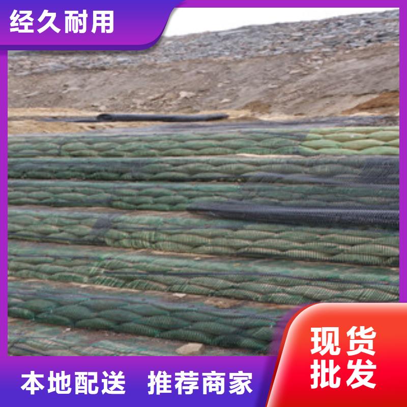 单向塑料格栅膨润土防水毯质量优价格低