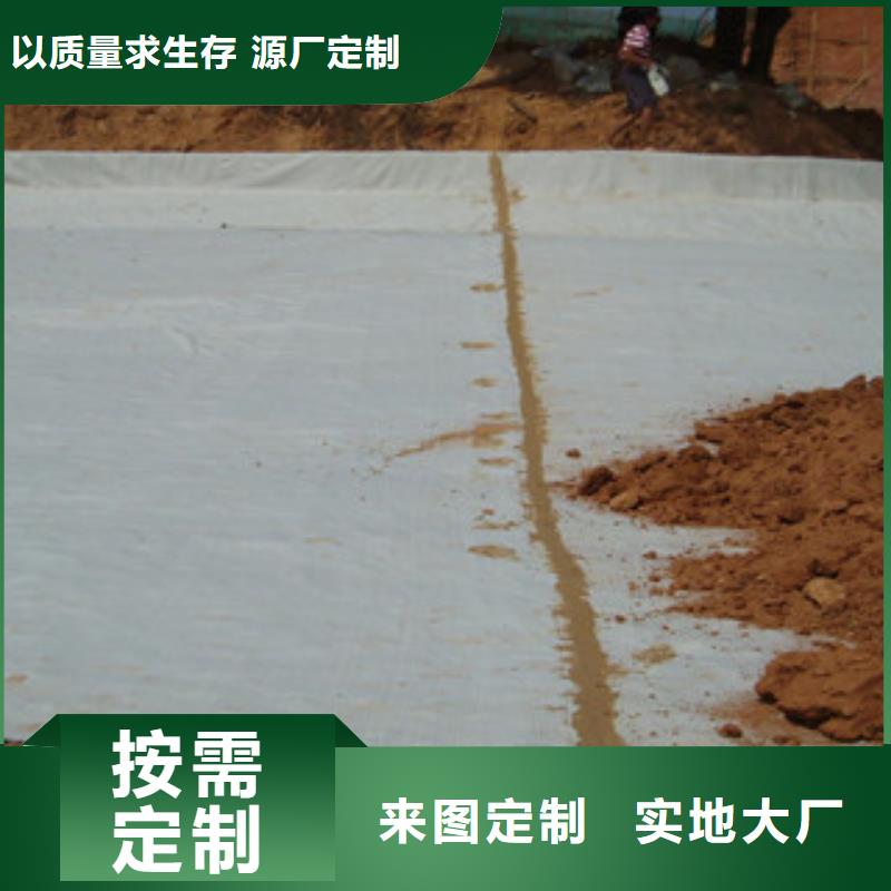 膨润土防水毯玻纤土工格栅厂家