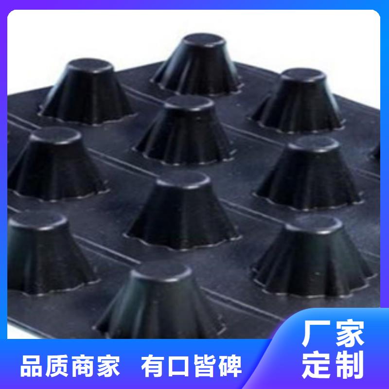 塑料排水板塑料土工格栅优质材料厂家直销