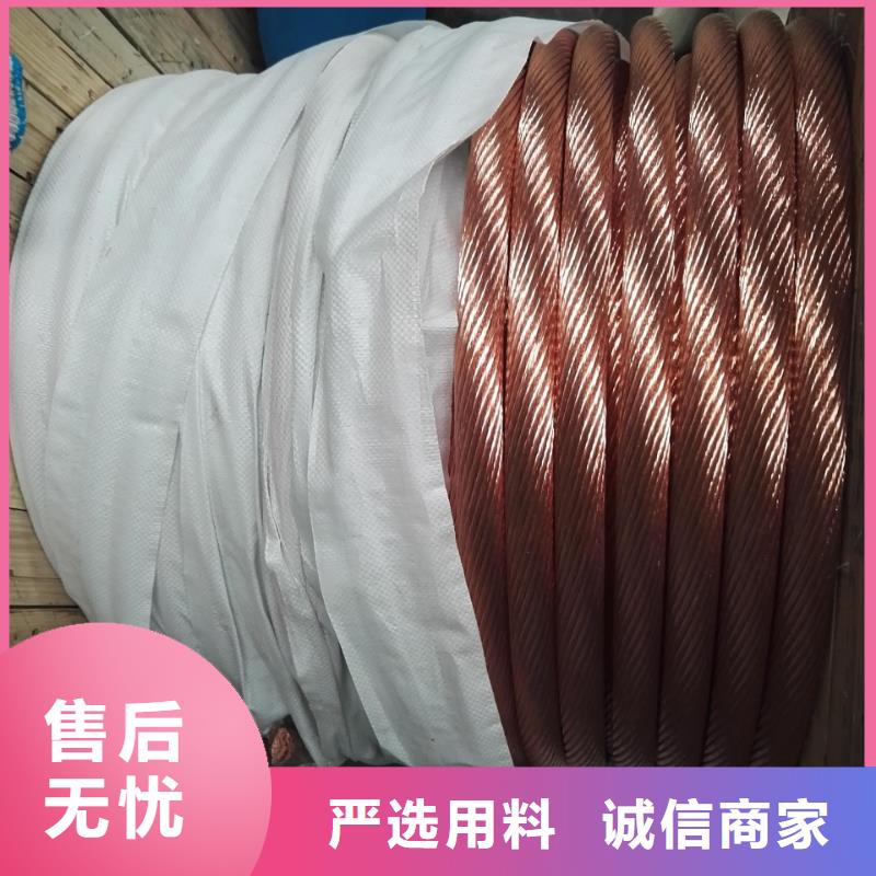 镀锡铜绞线的氟塑料护套制作工艺流程货源一米多少钱