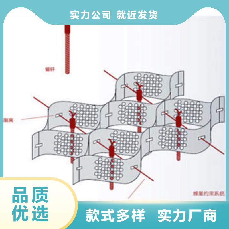 【蜂巢格室】钢塑格栅用心做品质