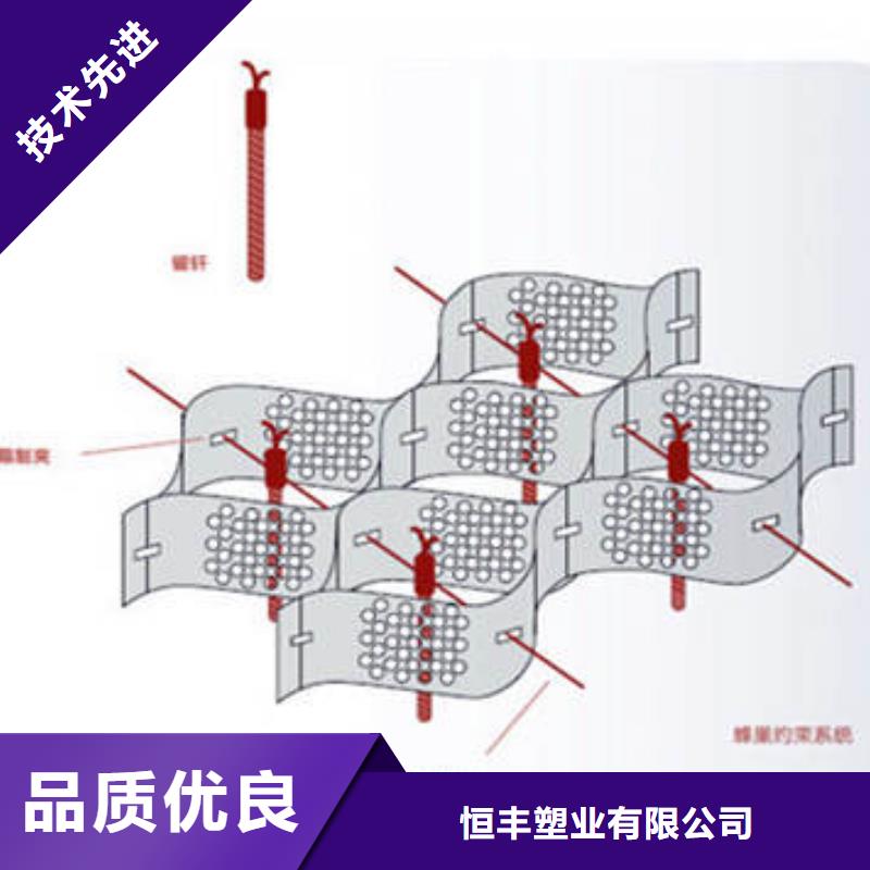 【蜂巢格室 聚酯布讲信誉保质量】