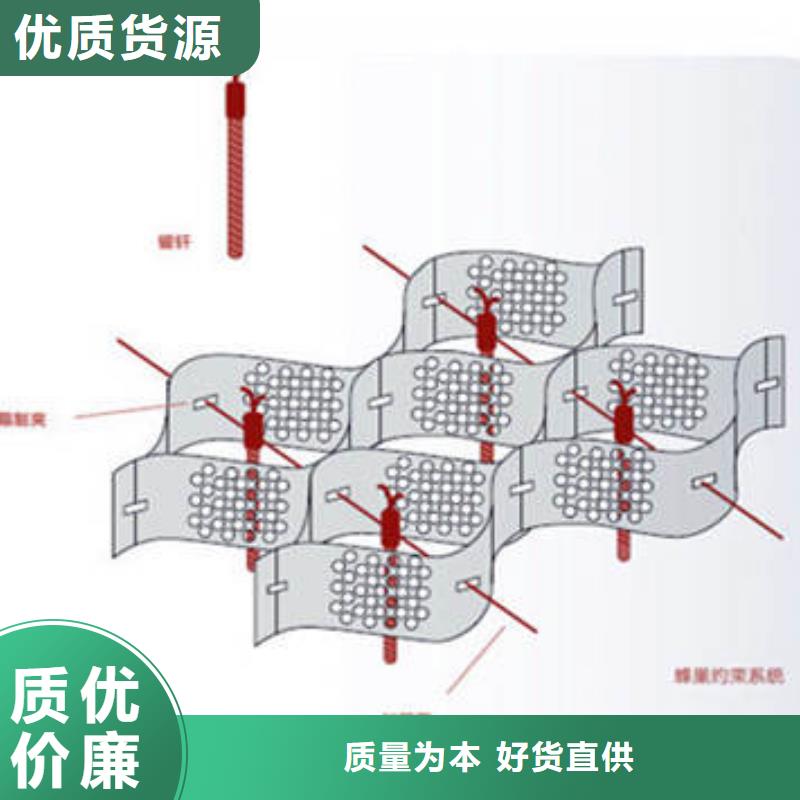 蜂巢格室 钢塑格栅优选好材铸造好品质