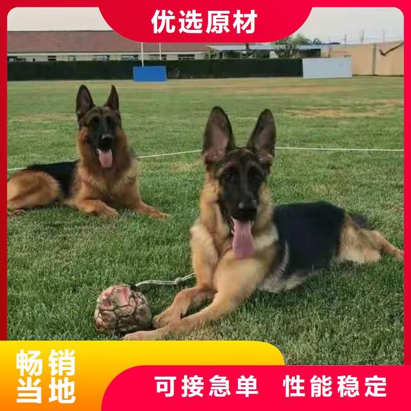 德国牧羊犬,【拉布拉多犬】一站式服务