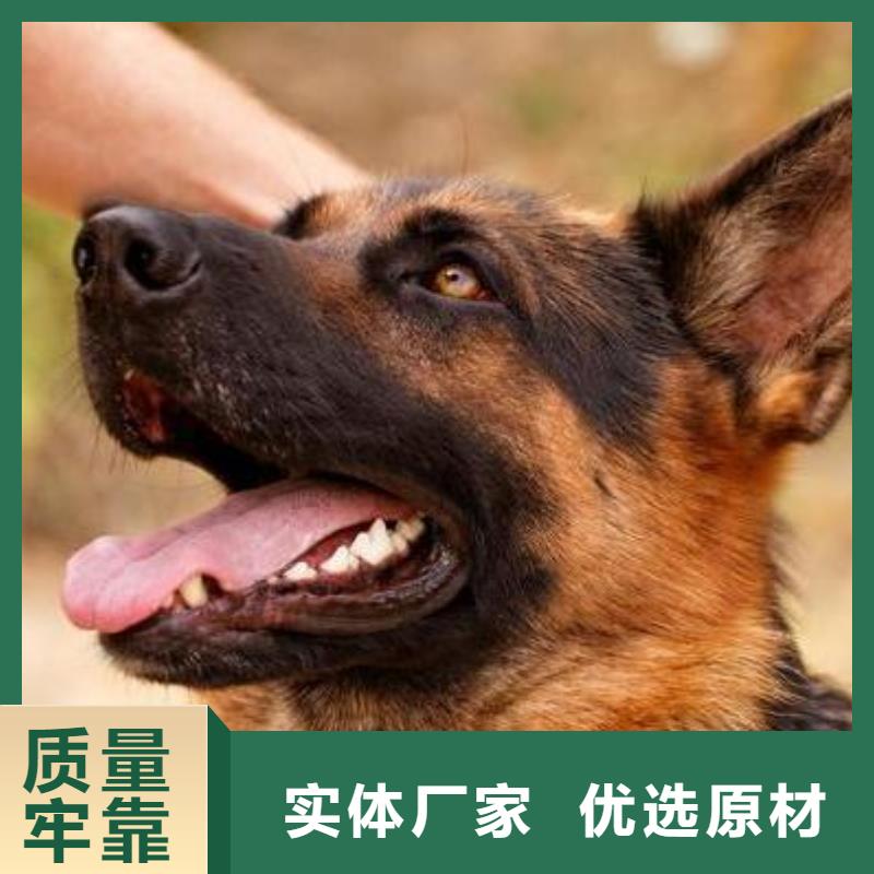 【德国牧羊犬】德牧犬保质保量