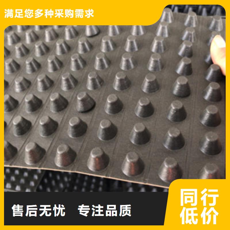排水板,排水板厂家源头采购