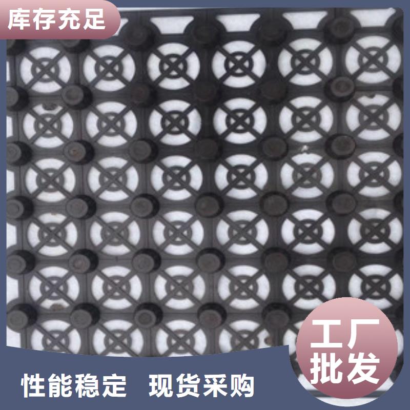 蓄排水板-排水板厂家实力公司