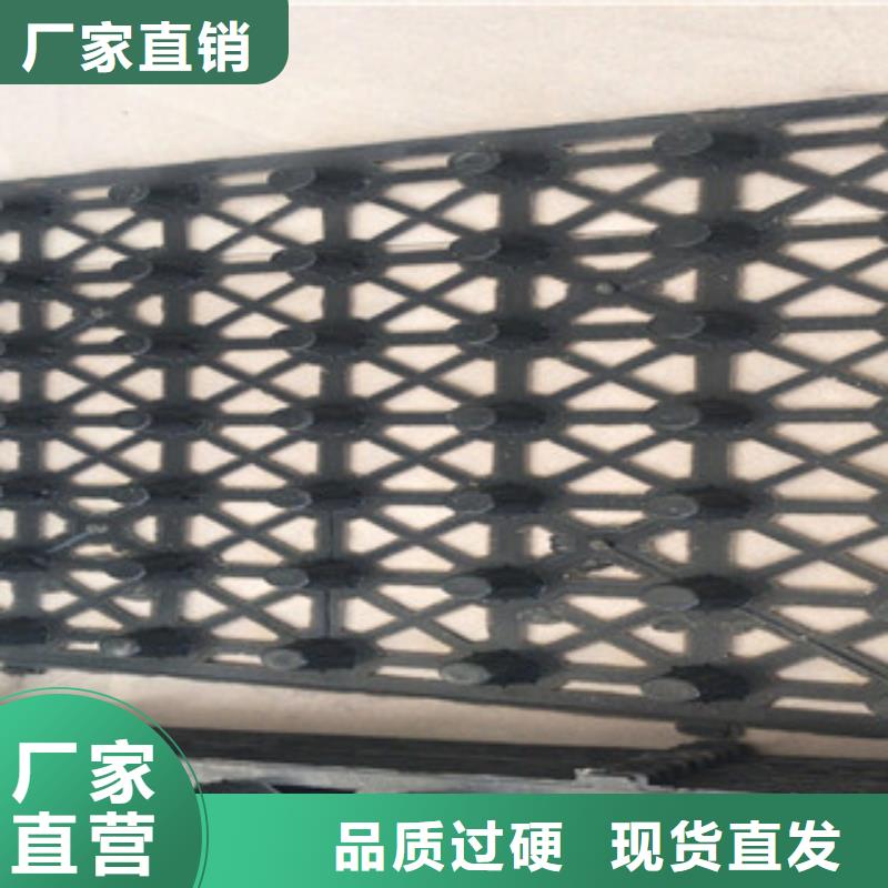 蓄排水板植草格厂家诚信经营质量保证