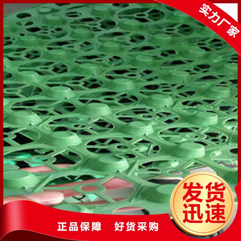 蓄排水板,膨润土防水毯厂家专业供货品质管控