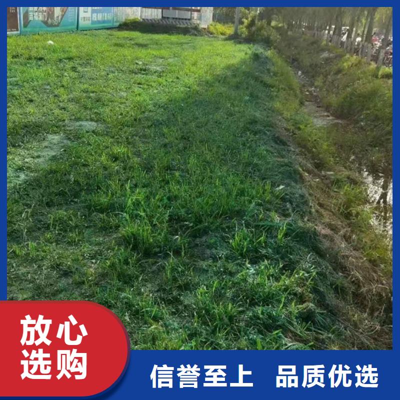 环保抑尘剂产地工厂