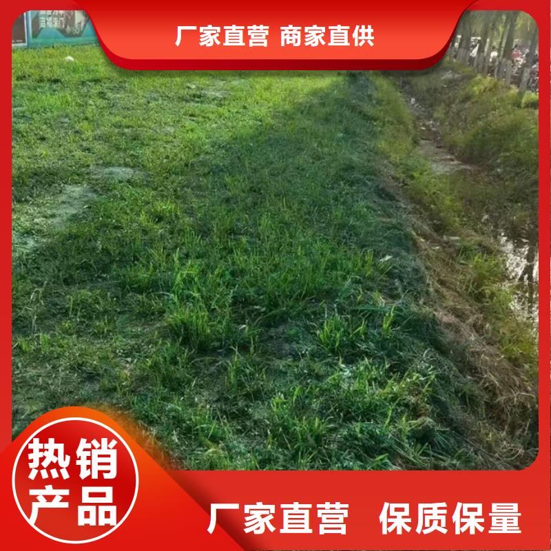 环保抑尘剂色素实惠工厂直供