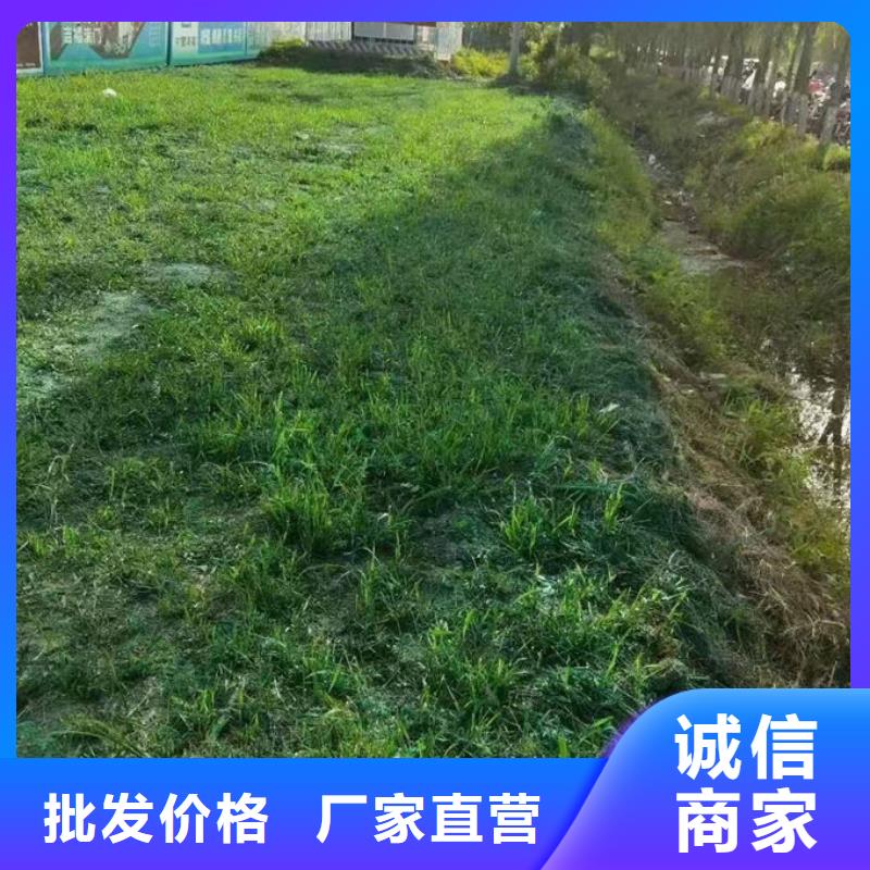 铁路抑尘剂源头厂家