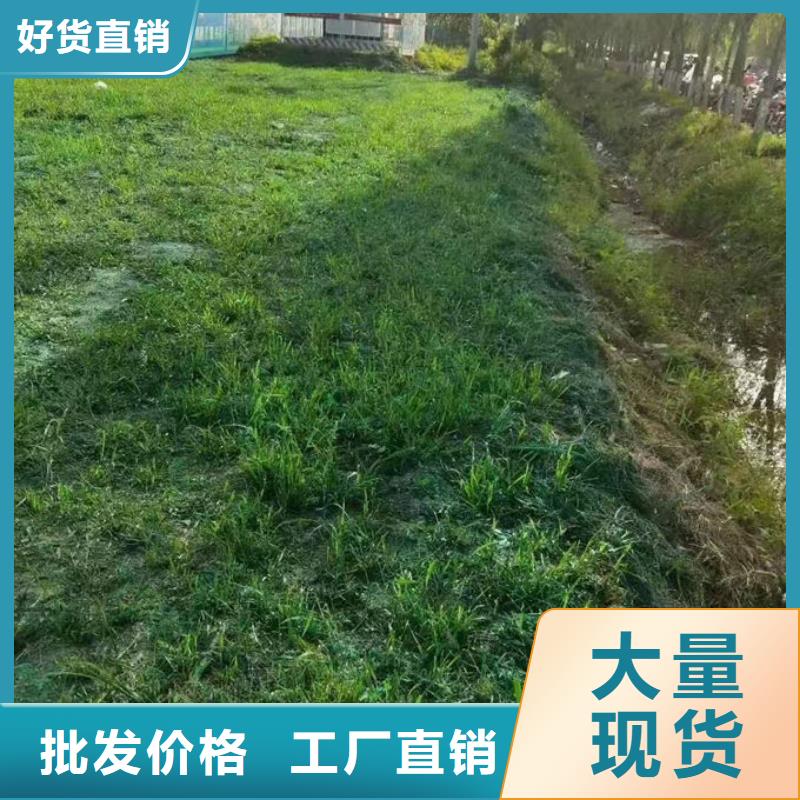 生物酶抑尘剂