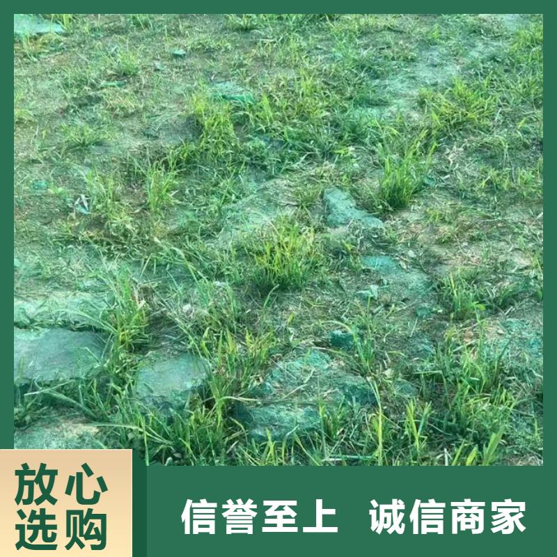环保抑尘剂色素实力优品