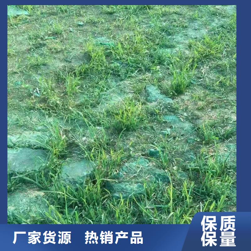 铁路煤炭运输抑尘剂量大从优