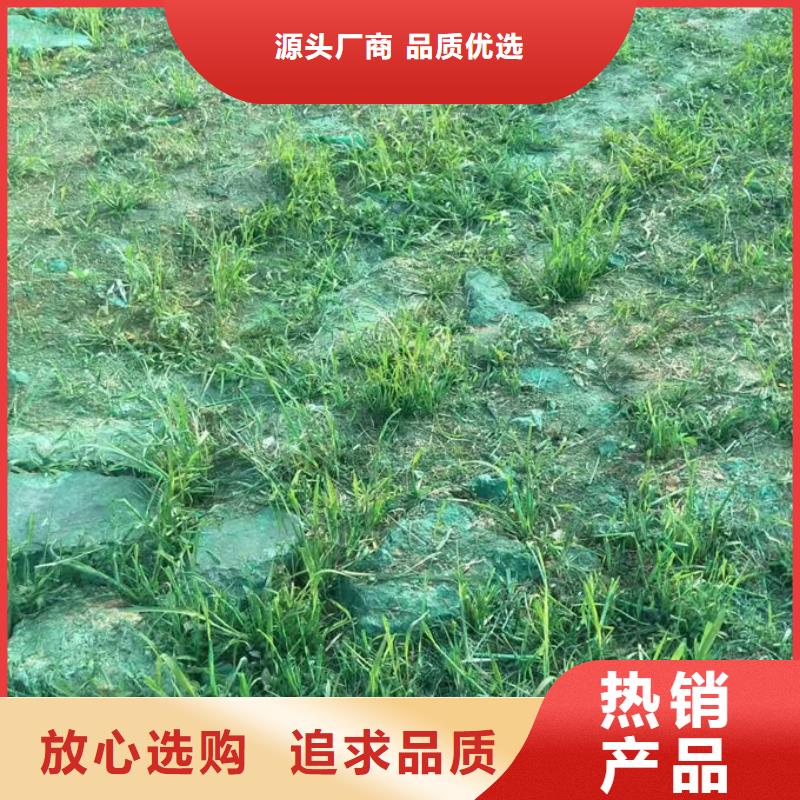 铁路抑尘剂诚信为本
