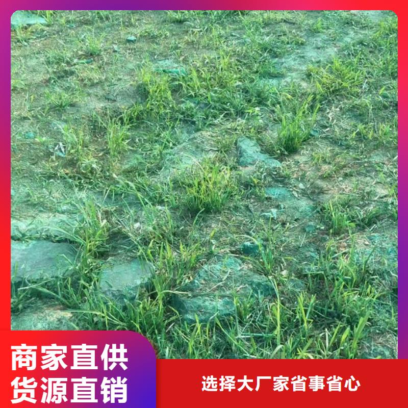 环保抑尘剂色素实力优品