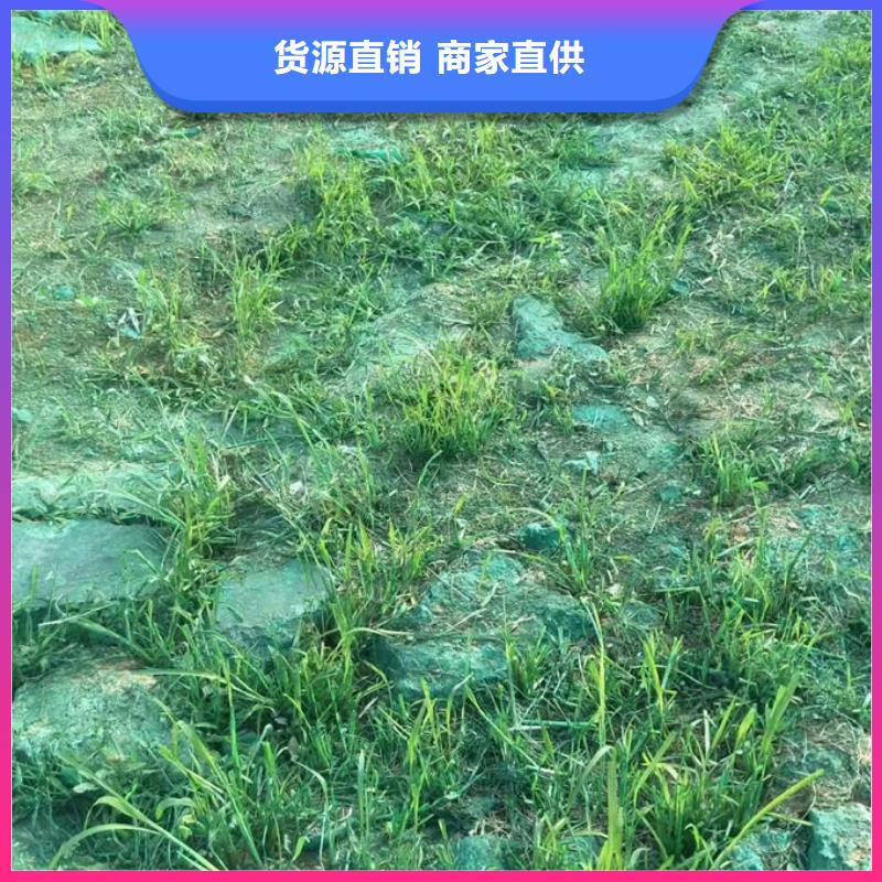 铁路煤炭运输抑尘剂量大从优