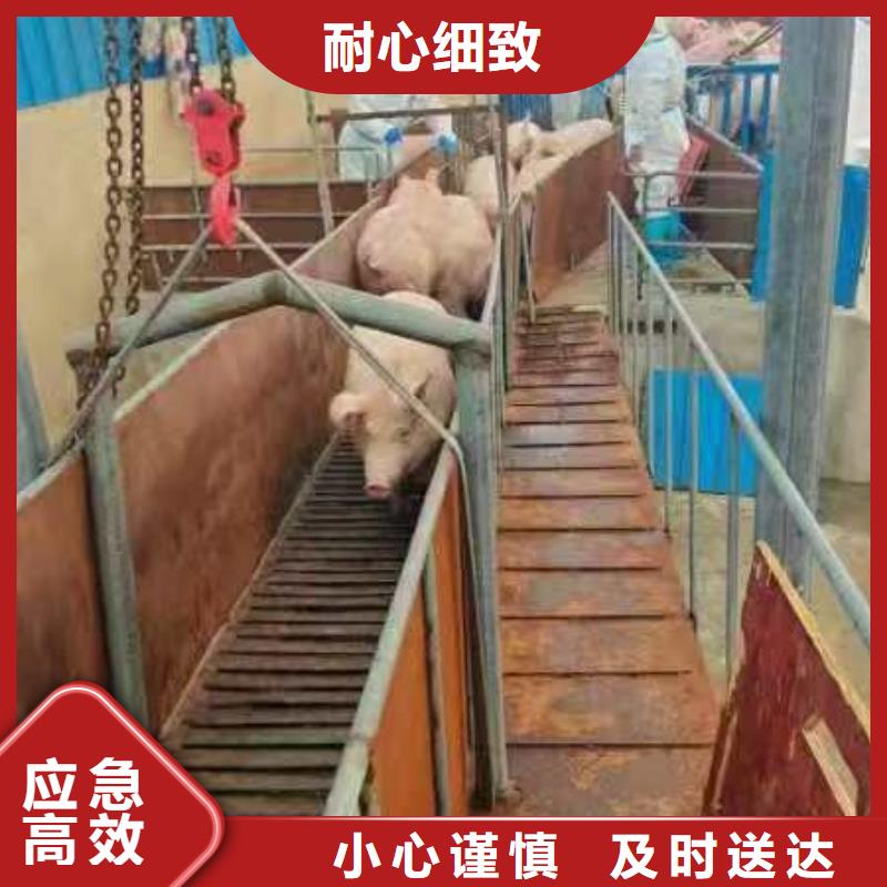 宿迁市到二育运输准时准点