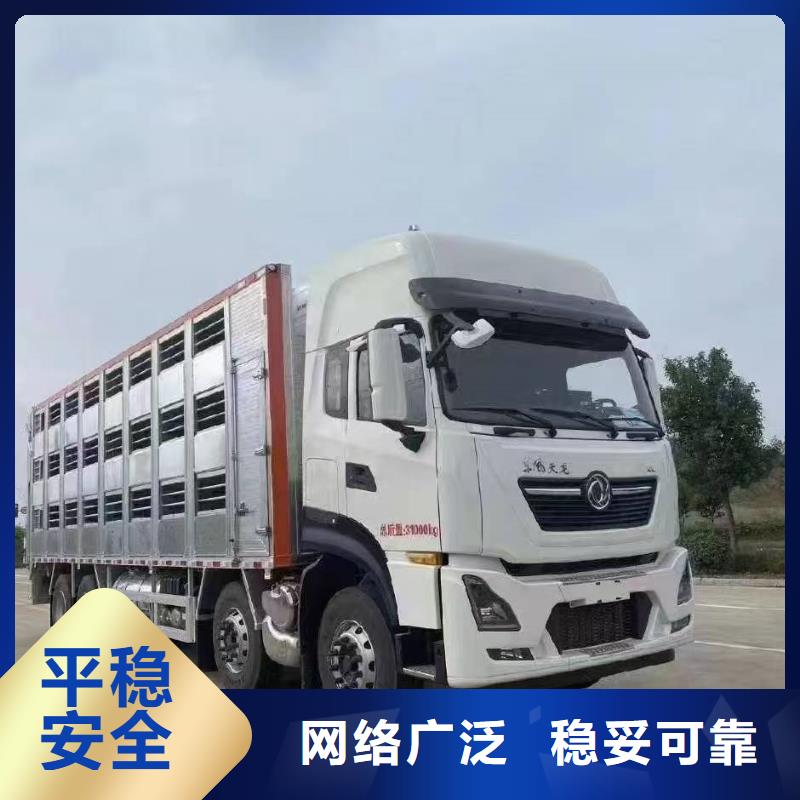 宿迁市泗阳到生猪恒温车运输特快专线