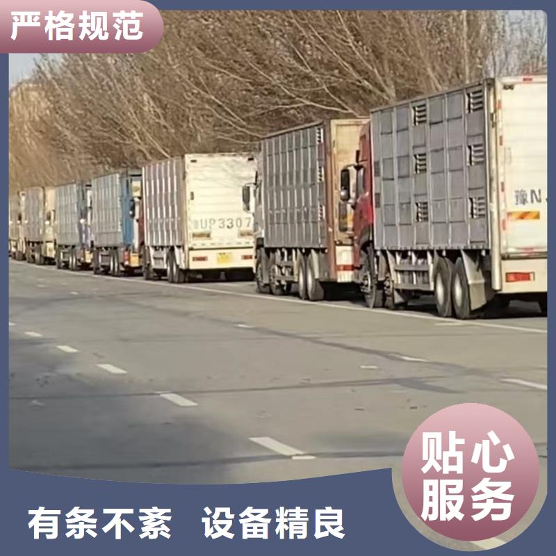 宿迁市泗阳到仔猪运输行业领先