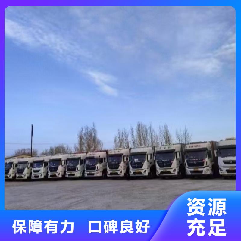 黄山到羊运输专用车稳妥可靠