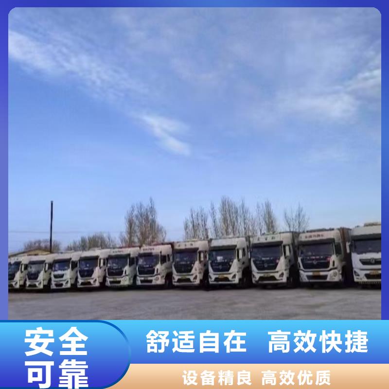 济宁到牛运输专用车无忧