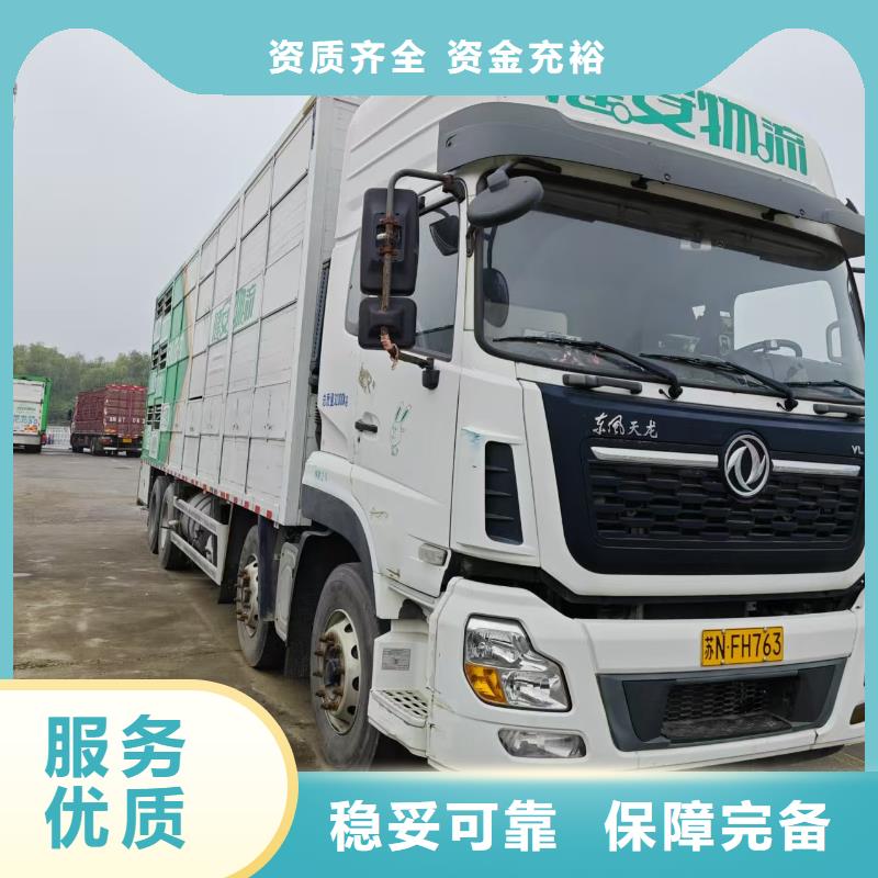 济宁到牛运输专用车无忧