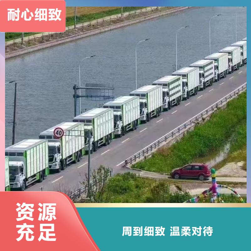 宿迁市泗洪到猪只贸易全程呵护