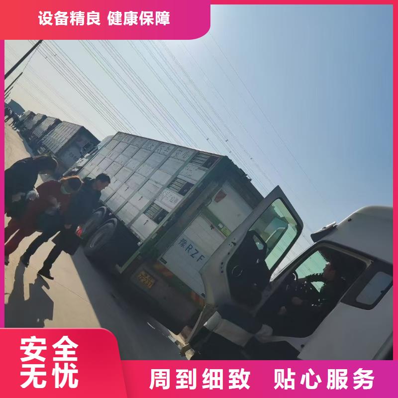 宿迁市泗洪到活禽物流透明