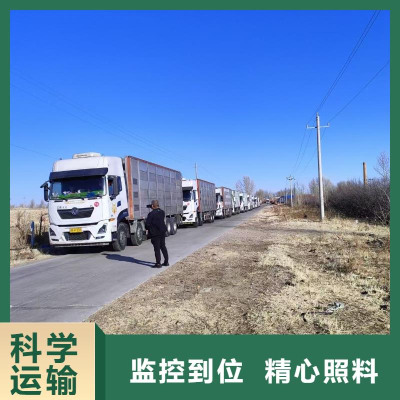 宿迁市到高栏车肥猪运输合理安排