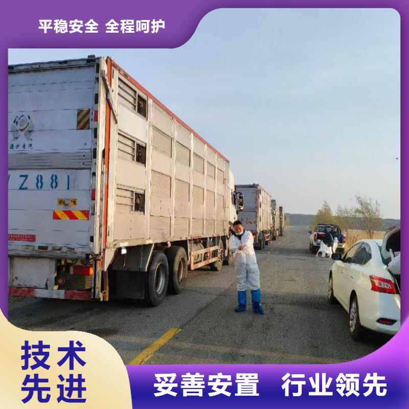 湖州到空调车运输品质卓越