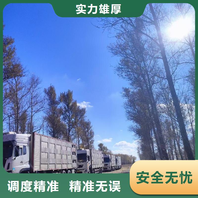 宿迁市泗洪到活禽运输品牌知名
