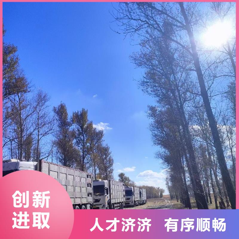 宿迁市泗阳到牛运输实力雄厚
