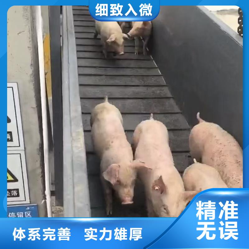 湖州到空调车运输品质卓越