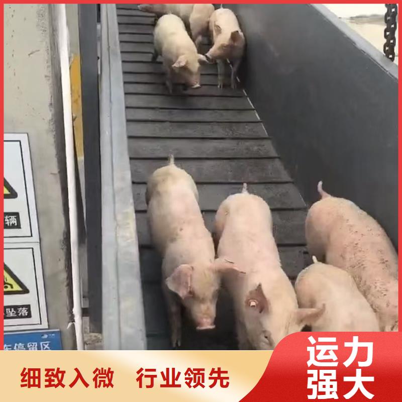 宿迁市泗洪到原料运输管理规范