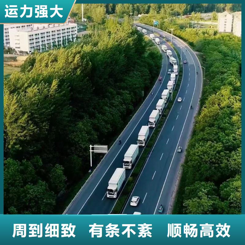 宿迁市泗阳到生猪运输保障