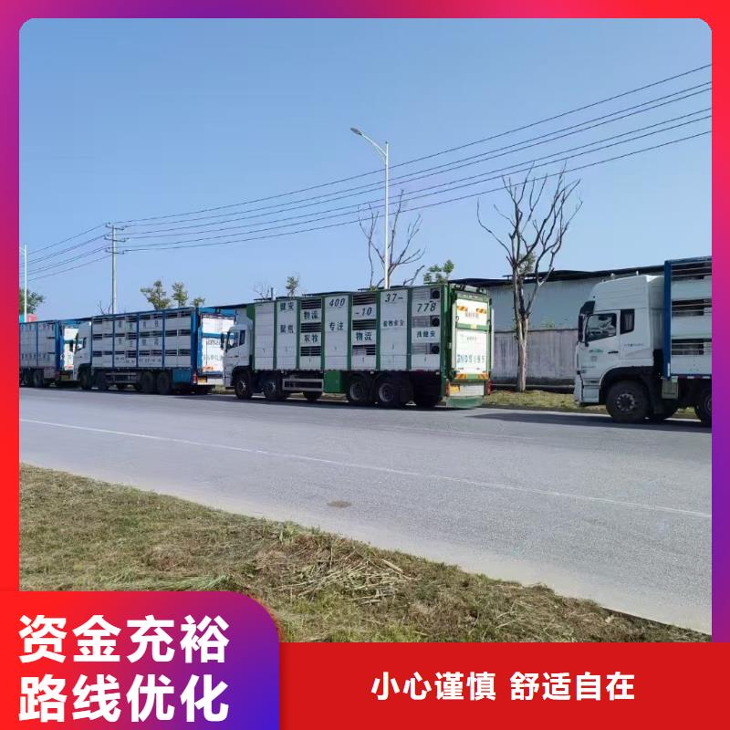 宿迁市到种猪空调车运输按时到达