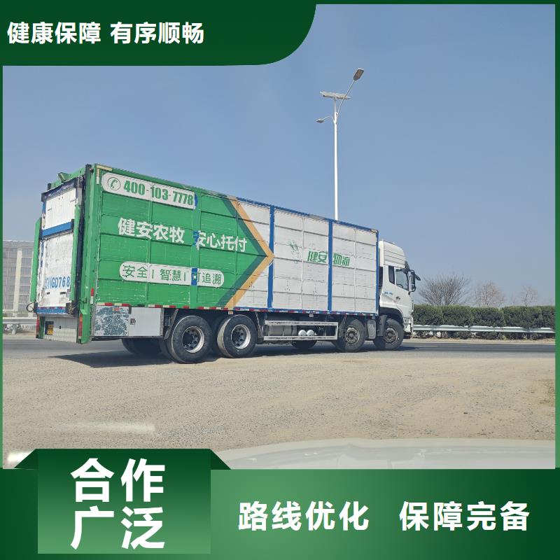 宿迁市到二育运输准时准点