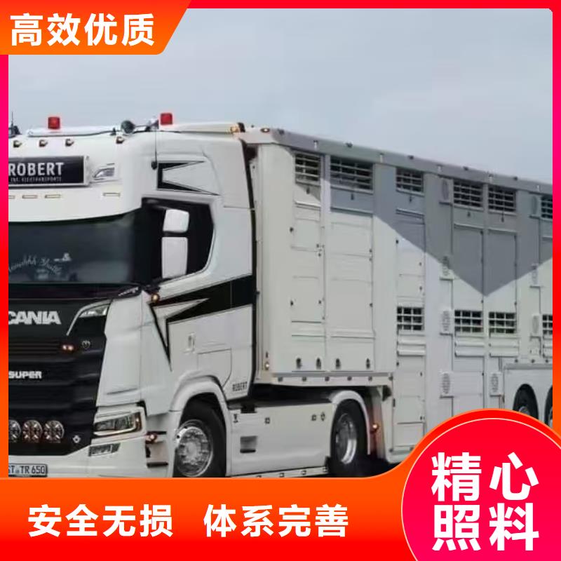 宿迁到牛运输专用车专线运输
