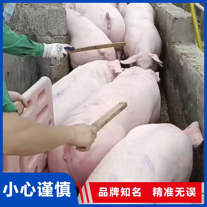 宿迁到二育运输整车物流