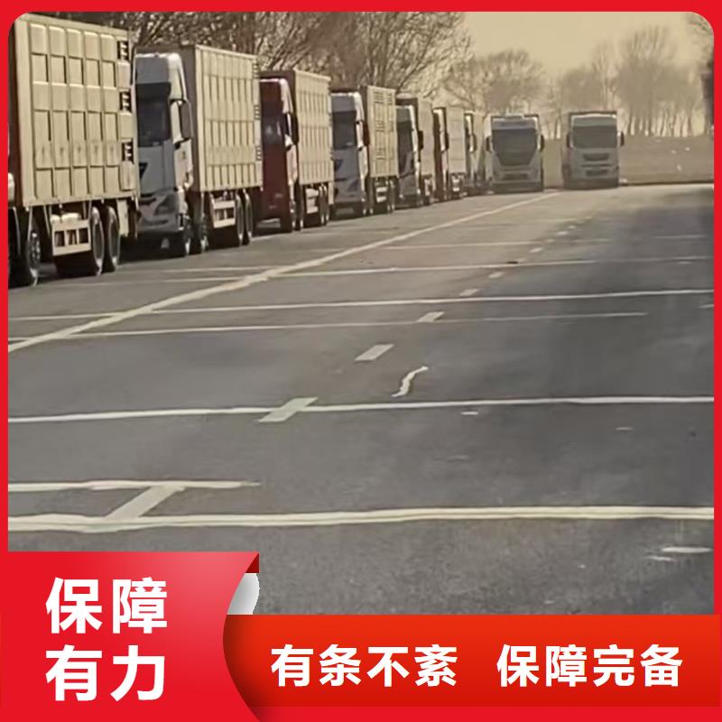 宿迁市泗阳到仔猪运输行业领先