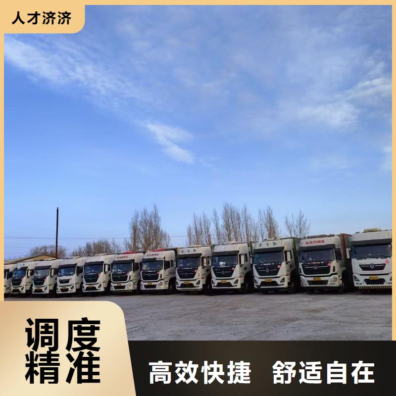 宿迁市沭阳到羊运输团队专业