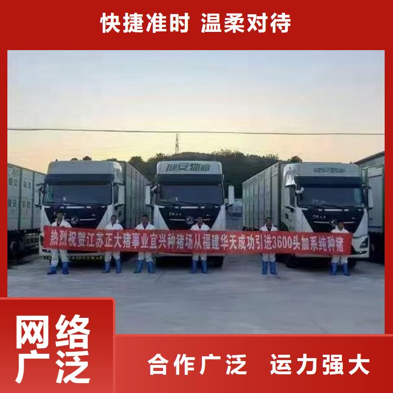 宿迁市沭阳到猪只运输专用车资源充足