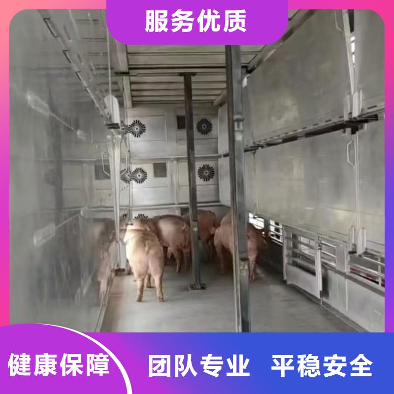 宿迁市泗阳到活禽物流耐心细致